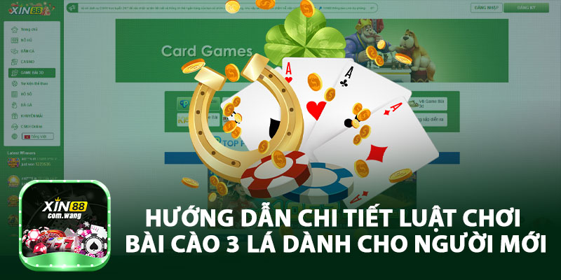 Hướng Dẫn Chi Tiết Luật Chơi Bài Cào 3 Lá Dành Cho Người Mới