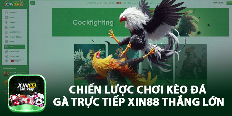 Chiến Lược Chơi Kèo Đá Gà Trực Tiếp Xin88 Thắng Lớn